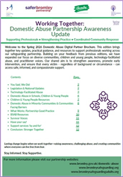 Domestic Abuse Partnership Brochure thumbnail (March 2026)